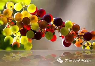 未標(biāo)題-4.jpg
