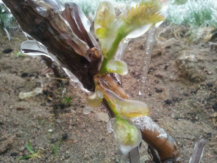 20140425141642720.jpg