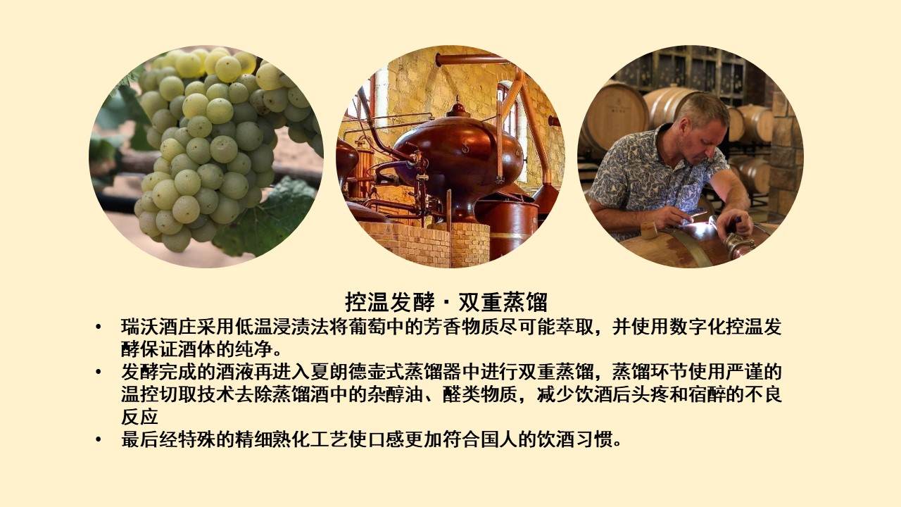 C葡萄白工藝.jpg