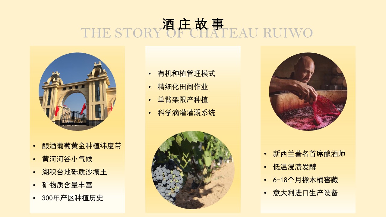 S酒莊故事.jpg